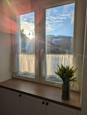 Apartament po Stronie gór - parking, stoki narciarskie, kąpielisko, trasy rowerowe